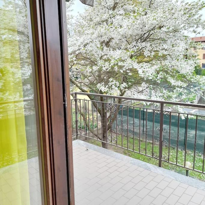 Villa Il Vecchio Kiwi - House With Private Garden Oleggio Castello Exterior foto