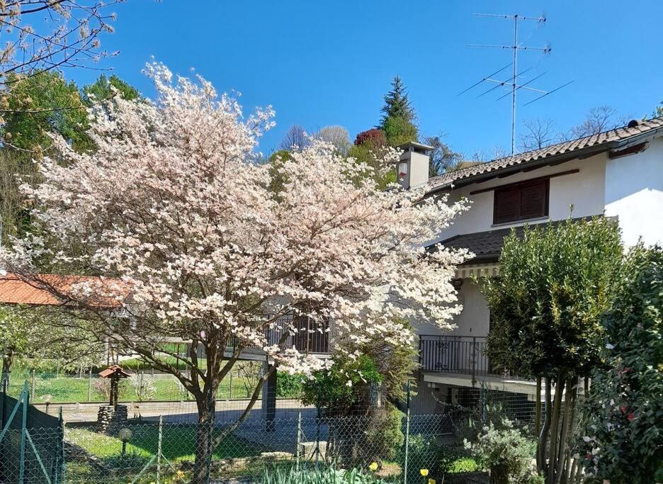 Villa Il Vecchio Kiwi - House With Private Garden Oleggio Castello Exterior foto