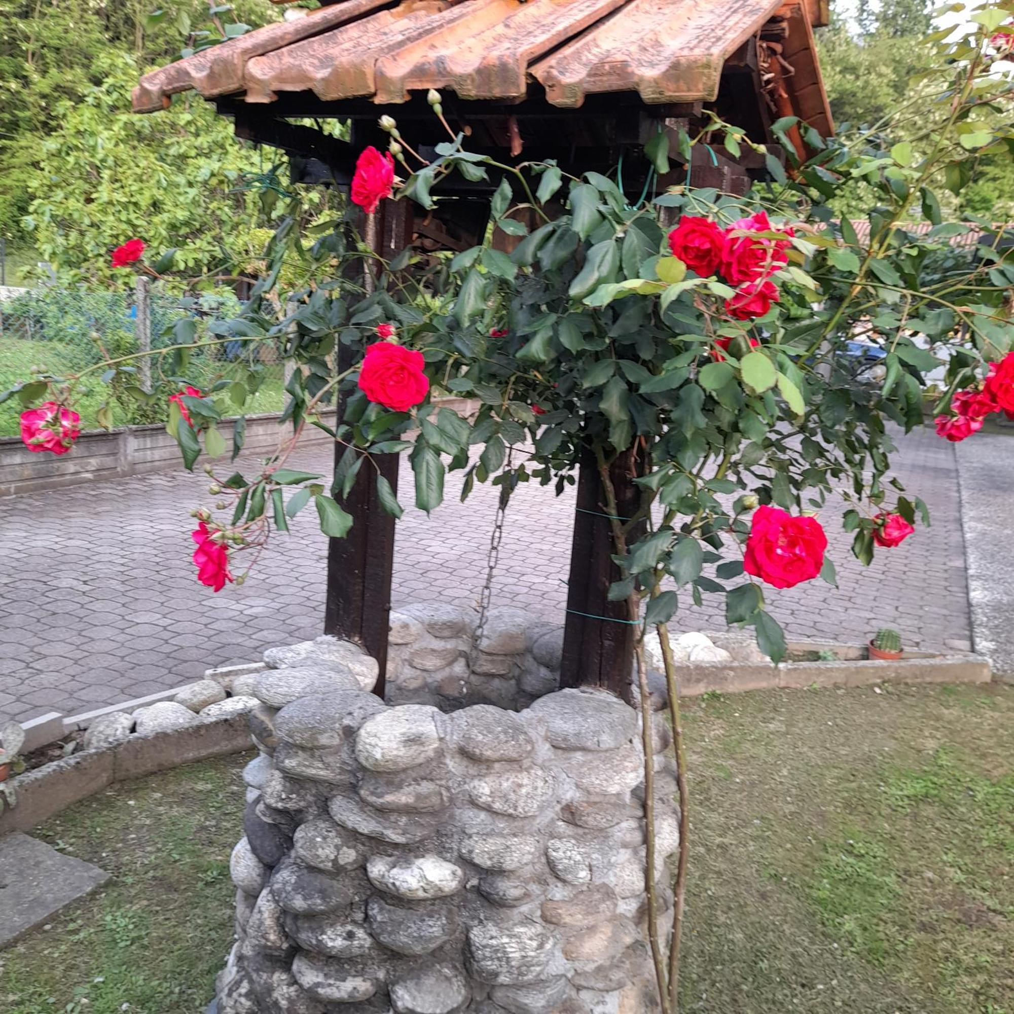 Villa Il Vecchio Kiwi - House With Private Garden Oleggio Castello Exterior foto